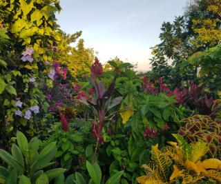 Coyaba Private Hilltop Jungle Retreat - 6