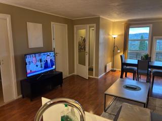 J-Apartment Sandvika Bærum - Great view and Attractive - 9