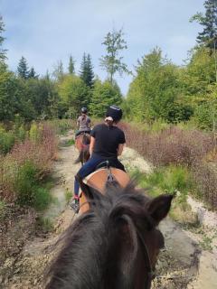 Domek Ranczo Podkówka - 1