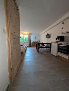 Eigenes ruhiges Appartement mit Küche und Terasse Chemnitz - 2