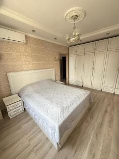 Элитная квартира возле Mega Alma-Ata - 0