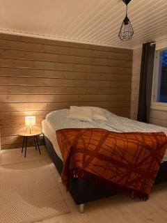Finnish dream - 2