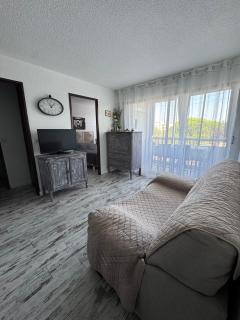 T2 Familial - 250 m front de mer, plage, seaquarium - parking privé - Bienvenue en occitanie - Le Grau-du-Roi - 9