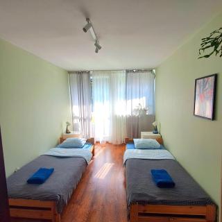 Jelenia - 8