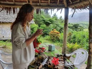 Volcano island paradise - 6