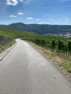 Apartment an der Mosel 1 - Graach - 8