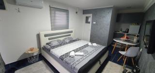 Cozzy apartment near the Aiport Podgorica - 0