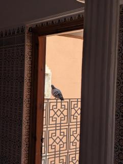 Appartement City Center - 9