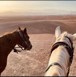 Agafay désert excursions tours - 8