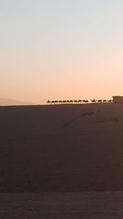 Agafay désert excursions tours - 2