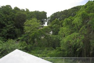 301 Batts Rock Beach Condos - Saint Michael - 9