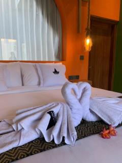 Angel Villa Praivate and tour - 4