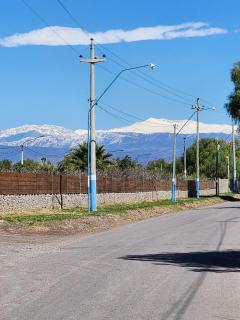 GalloNegro - 7