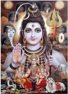 Mahadev Residency - 8