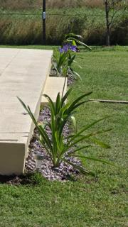 Puesta del Sol Casa Quinta - 4