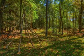 Pet Friendly Wi-Fi Firepit TV - 5