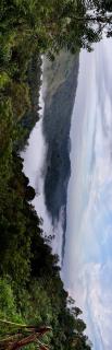 Chittadiyil Homestay - 9