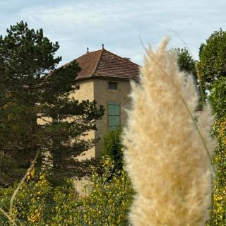 La Maison Carrée - Escape to Timeless French Charm - 7