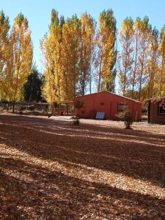 El Andino Uspallata - 2