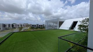 Cana Life ZenVista Retreat - 1