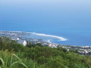 Chambres d'hôtes aux Avirons - Séjour créole authentique - FR-1-786-67 - 4