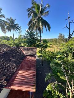 Sky Holiday Inn Cottages Madikeri Kushalnagar Coorg - 7