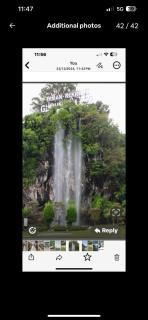 BOTANI LOFT HOMESTAY - 5