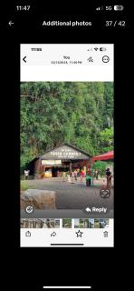 BOTANI LOFT HOMESTAY - 6