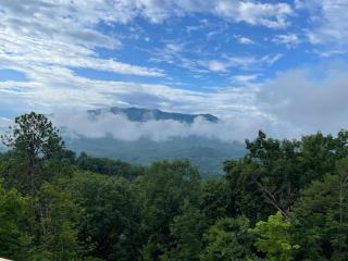 Black Bear Den at Fox Run - 9