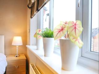 Modern 2 bed House Close To City - 2