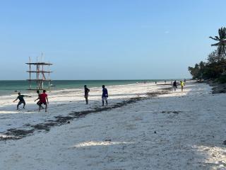 Zanzibar beach escape 1&2 - 1