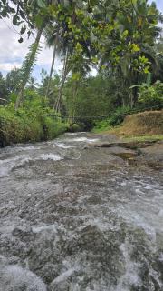A cozy home bythe waterstream, tourist places near waynad - 2