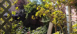 Casa los Ciruelos en El Tambo a 15 minutes from downtown - 9