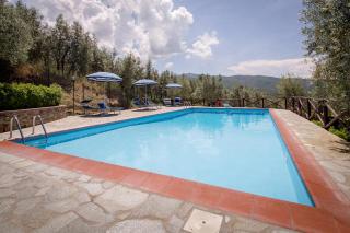 Agriturismo Le Capanne - Castiglion Fiorentino - 2