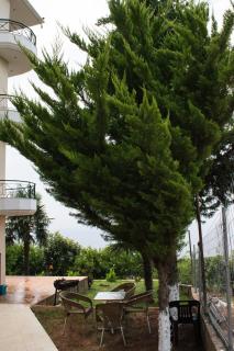 Sunshine Guesthouse Dhermi - Dhërmi - 1