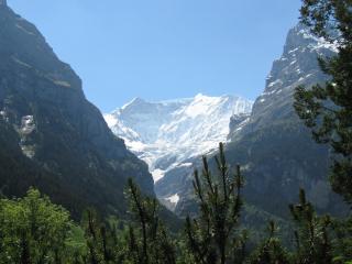 FERIENWOHNUNGEN Chalet Hohturnen - Grindelwald - 4