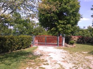 Al Bosco delle Api - Gallicchio - 5