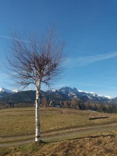 Willa u Kośle Zakopane - 6