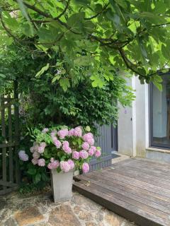 Gîte de Charme en bord de Loire - 8