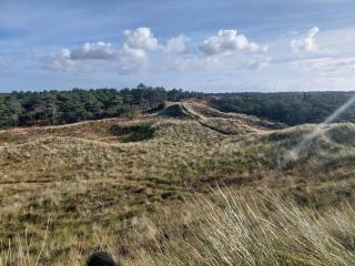 6 person holiday home in Rømø-By Traum - 3