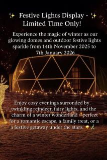 Luxury Star Gazing Dome 3 NEPTUNE with Cozy log burner - 9