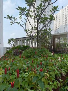 Sewa Harian Apartemen Bassura By HokkiStar Property - 6