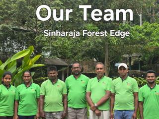 Sinharaja Forest Edge - 3