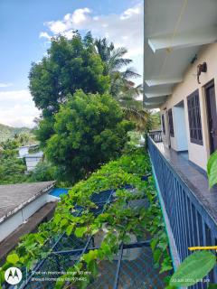 Bhasuri NON-AC Villa with Kitchen - 4