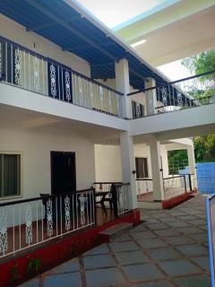 Natures Nest In Marine Gardens - 1