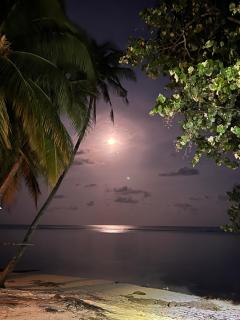 Alma Maldiva, Beach Hotel - 8