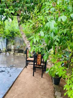 Sandy Coconut Guest - 1