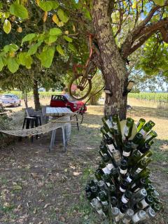 gîte des vignes de Saint emilion - 5