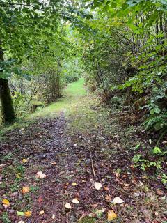 2 bedroom apartment with beautiful view - 3