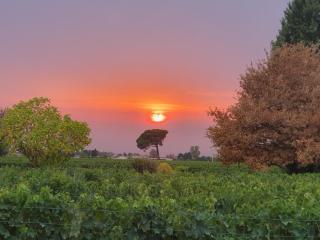 gîte des vignes de Saint emilion - 1